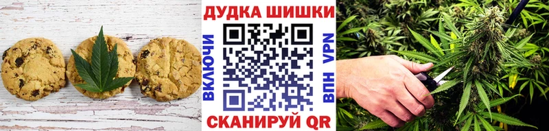 купить наркотики сайты  MEGA ССЫЛКА  Canna-Cookies конопля  Брянск 