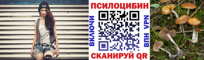 Галлюциногенные грибы Psilocybe  mega как войти  Брянск  где продают наркотики 